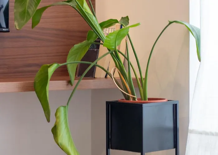 Apartamento Santa Catarina Haven By Lovelystay