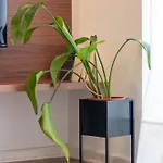 Apartment Santa Catarina Haven By Lovelystay